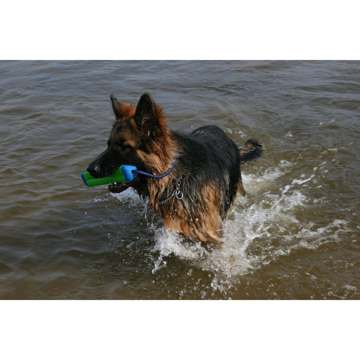 Jouet chien - Chuckit bumper