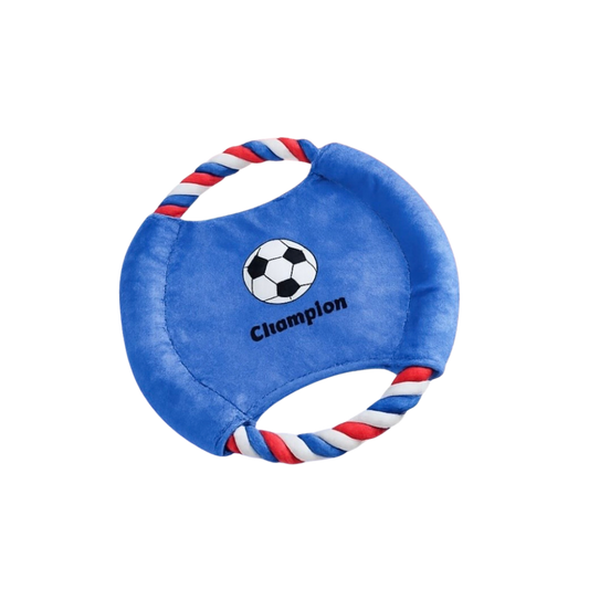 FRISBEE - ALLER LES BLEUS