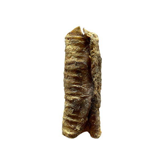 Trachée de boeuf