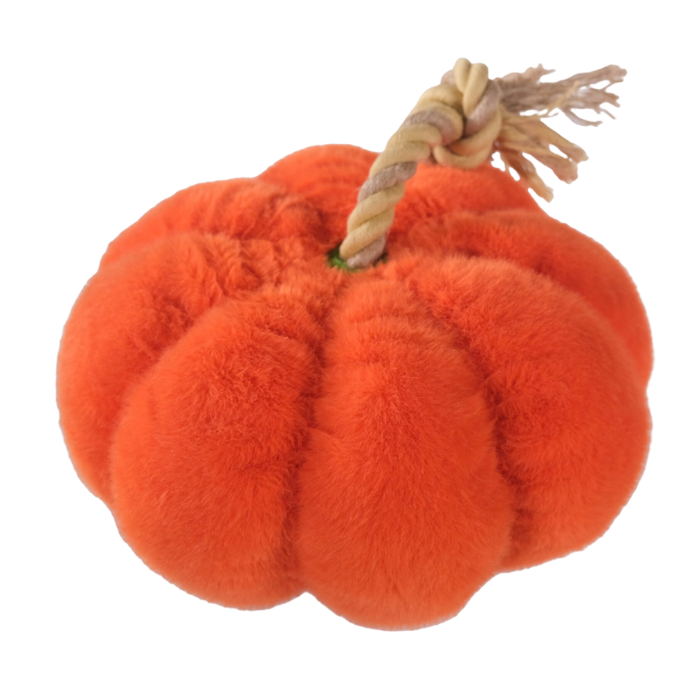 PELUCHE CITROUILLE 🎃