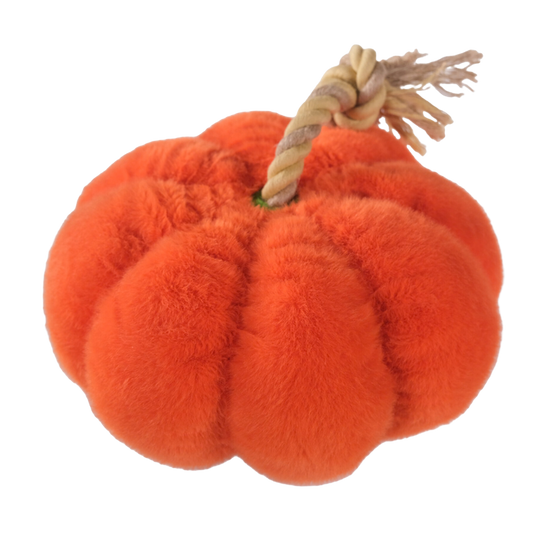 PELUCHE CITROUILLE 🎃