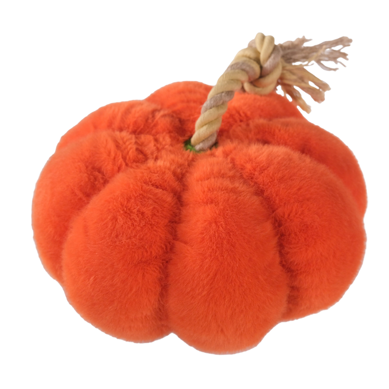 PELUCHE CITROUILLE 🎃