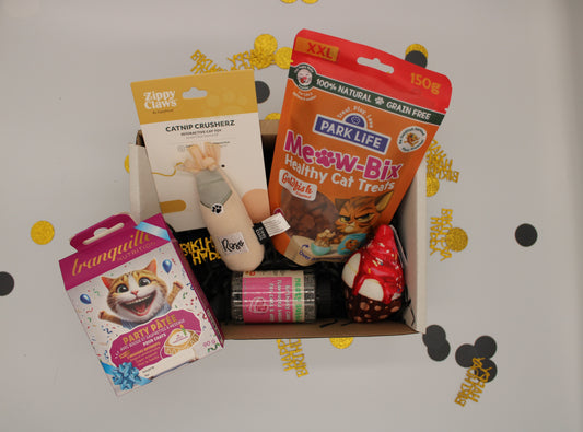 Box Anniversaire - Chat