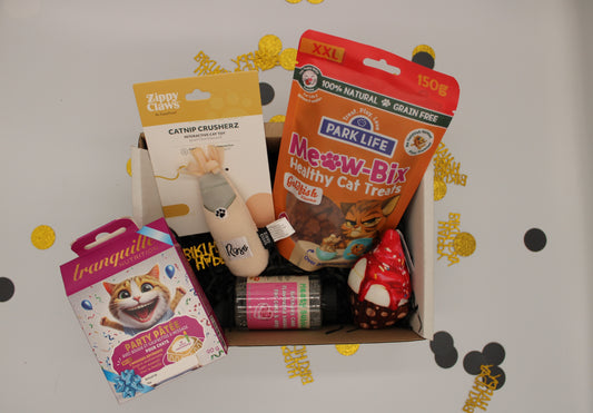 Box Anniversaire - Chat
