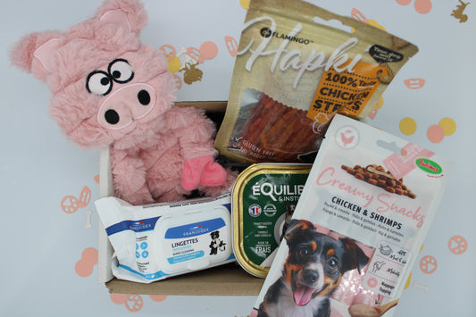 La box qui fait remuer la queue