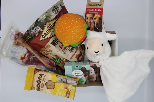 Box CHIEN - PREMIUM