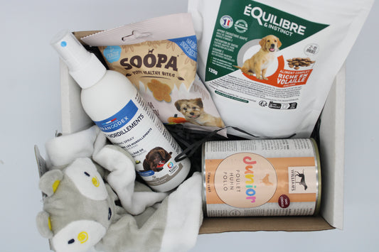 La baby patte surprise - CHIOT