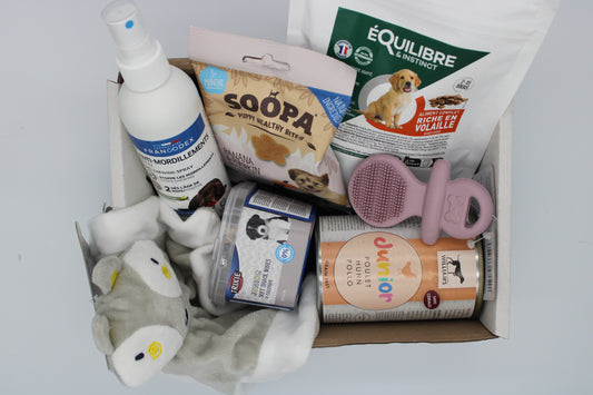 La baby patte surprise - CHIOT PRENIUM