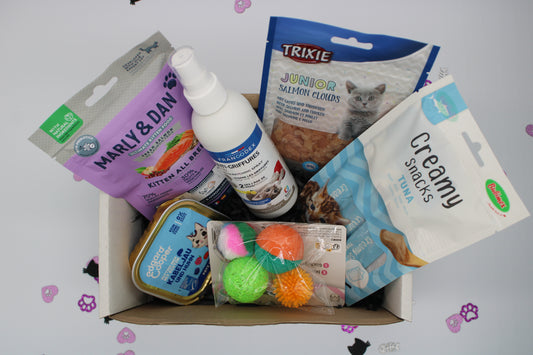 La baby patte surprise - CHATON